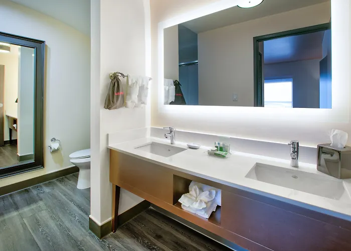 Dallas - Worth Airport South By Ihg Hotel 3*